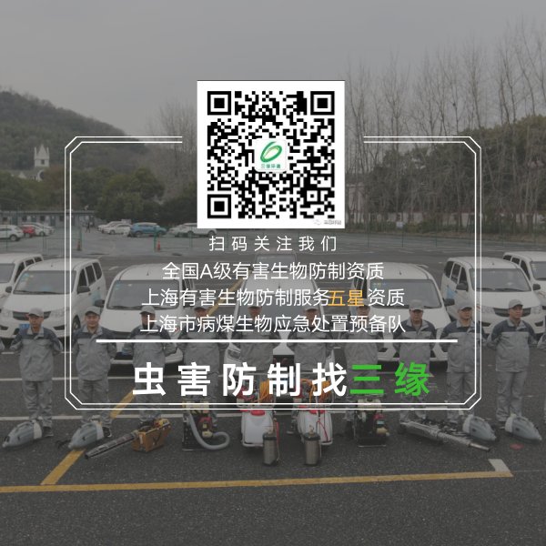af7c51b8717e9c9fb93ec2abec9f759a.jpg